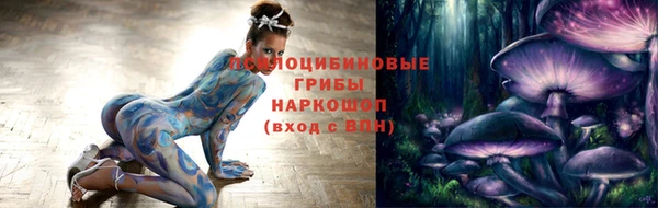 твердый Няндома
