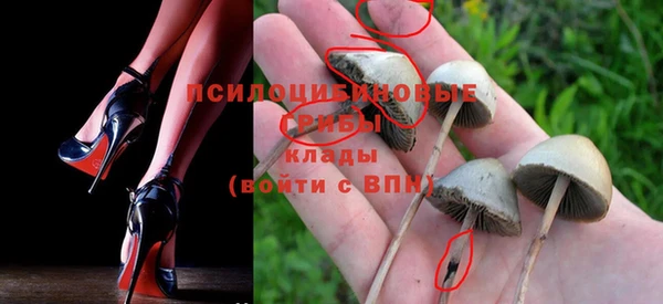 шишки Новозыбков