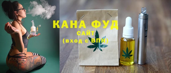гашик Билибино