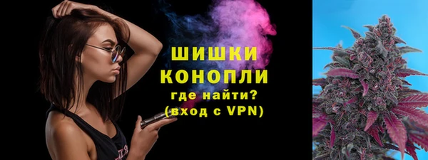 стаф Новодвинск