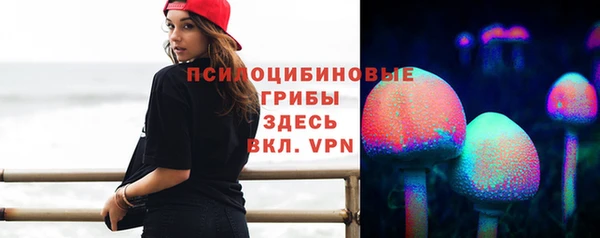 твердый Няндома