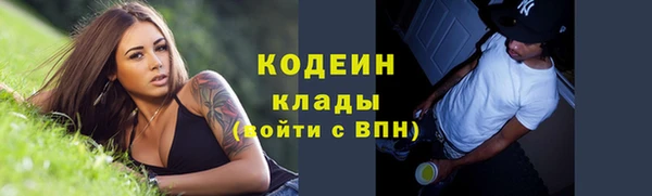 гашик Билибино