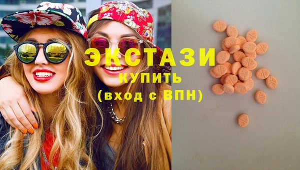 стаф Новодвинск