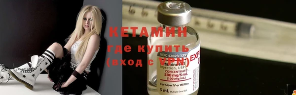 шишки Новозыбков
