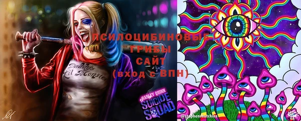 шишки Новозыбков