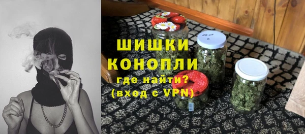 шишки Новозыбков
