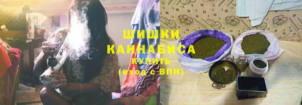 стаф Новодвинск
